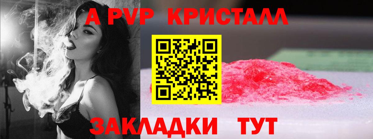Альфа ПВП СК Альметьевск