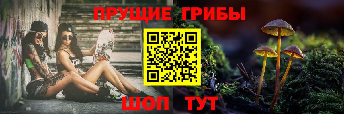 Галлюциногенные грибы ЛСД  Вход с VPN  Галлюциногенные грибы GOLDEN TEACHER  наркошоп  Альметьевск 